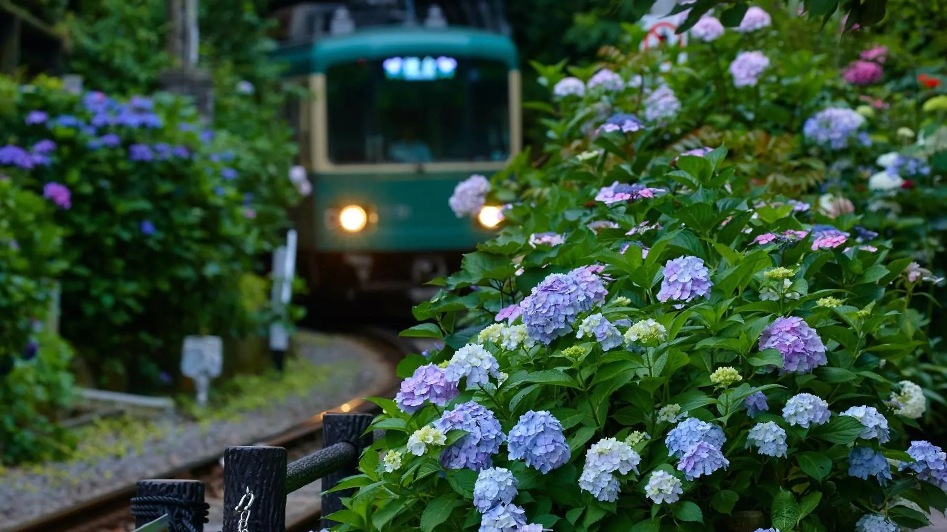 Kamakura Hotel